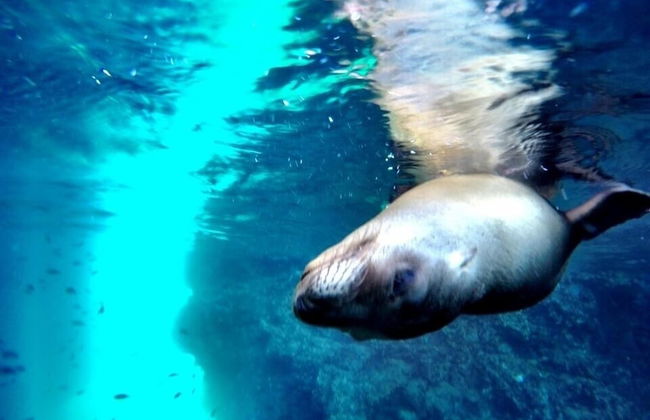 The Freesouls Residences Cerritos Beach - Foto 75