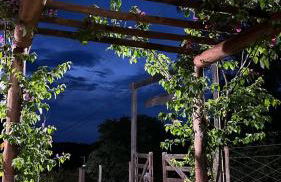 Rancho Corumba VI - Foto 7