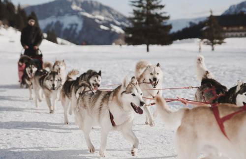 Balneo & Ciné - Jungle Touch - Direct Genève - Gare Bellegarde - Foto 27