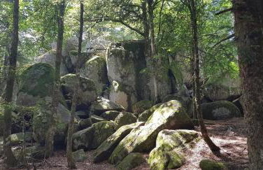 Am oberen Bühl - Photo 27