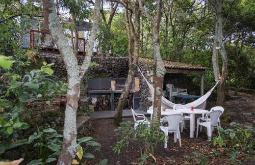 Quinta de São Caetano - São Miguel Açores - Photo 80