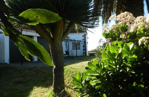 El Lagar de Piedra - Foto 17