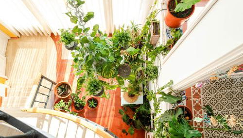 El Riu del Cel - Foto 3