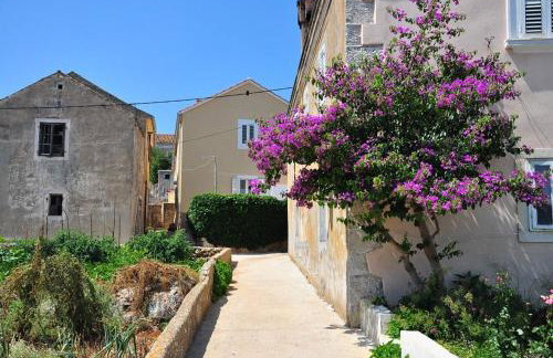 Apartments Oasis - Photo 15