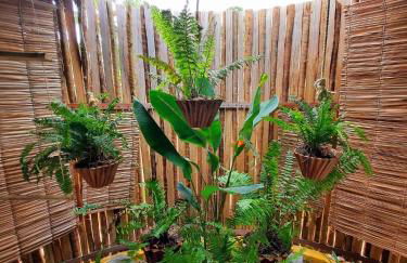 Côco Verde - Pousada Icaraí Kite Village - Foto 9