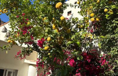 Casa de Limon - Foto 29