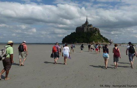 Gite Le Grand Manoir - Foto 35