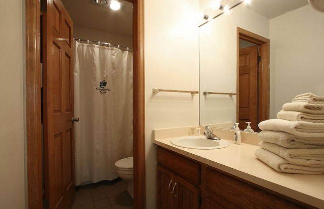 Swan Mountain Resort - Foto 45