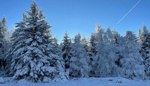 Ferienwohnung an der Oker - Foto 3