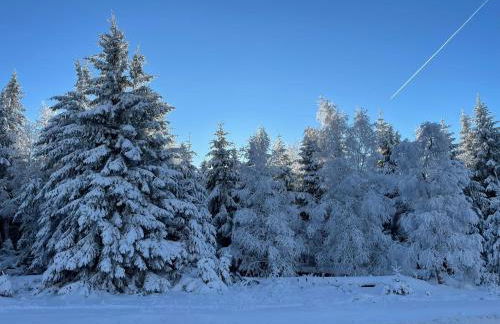 Ferienwohnung an der Oker - Foto 3