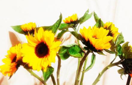 Casa sol y montaña - Photo 33