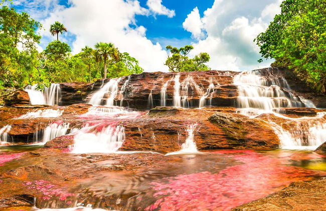 Excursion à Caño Cristales - Photo 3