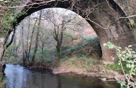 Casa da Labaceira - Foto 45