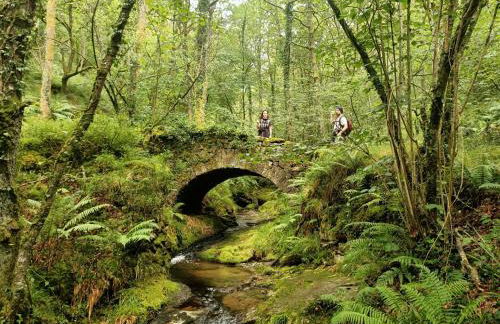 La cabaña mirador de los Valles Pasiegos - Foto 28