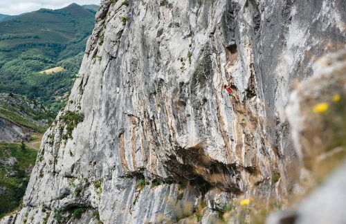 Apartamento Roca Verde - Foto 26