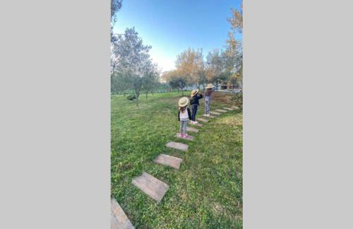 Villa Stanzietta Novigrad for 10 at Olive orchard - Foto 57