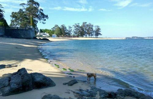 Sol, mar y naturaleza - Foto 21