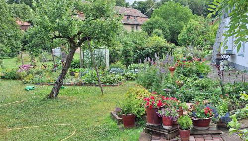 Ferienwohnung am Schloss Michelstadt - Foto 2, Garden