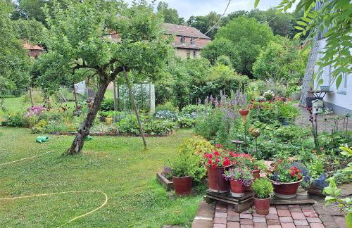 Ferienwohnung am Schloss Michelstadt - Photo 2