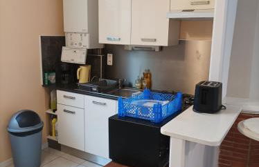 Ici, on y revient par plaisir - Foto 9