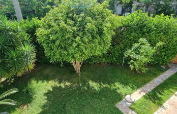 Spending seaside villa in Cirella, Italy - Foto 18