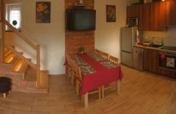 Tomaszówka - Domek na Kaszubach - Foto 14