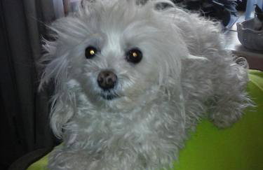 Apartments Jug - Foto 64