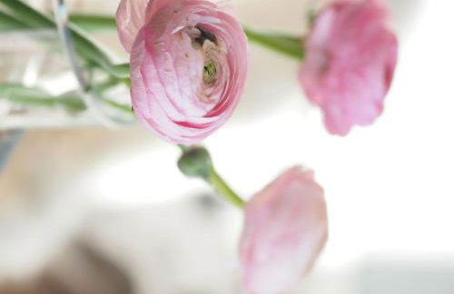 Holiday Home Exklusives Ferienhaus mit Terrasse und Garten by Interhome - Foto 18