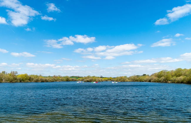 Chestnut Court - Foto 35