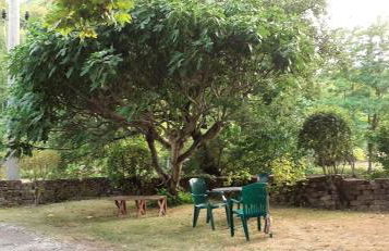 casa papillon - Foto 31