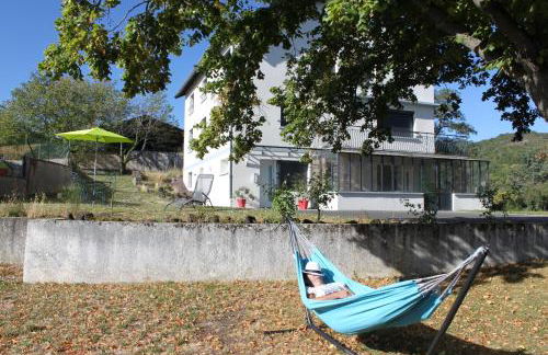 HippoLits - Photo 13