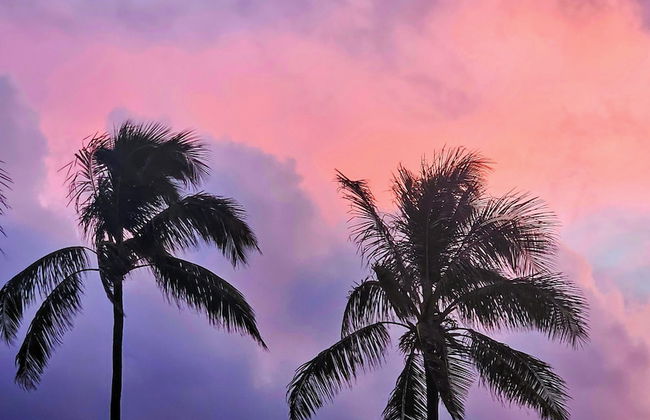 Hanalei Colony Resort H4 - Foto 13