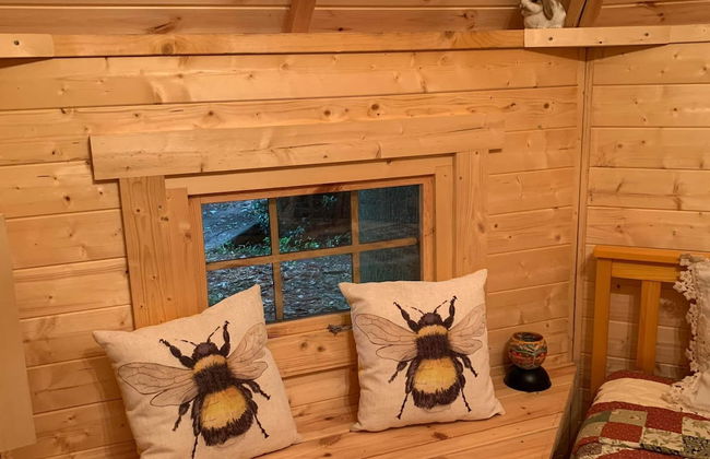 Starry Meadow - Foto 50