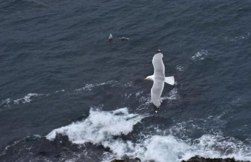 Grand loft de 60m2 très lumineux très belle vue sur mer - Foto 47