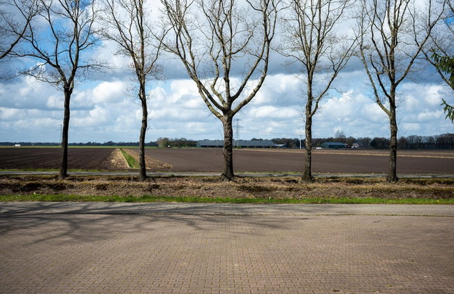 Holiday Home with Meadow View near Forests - Photo 31