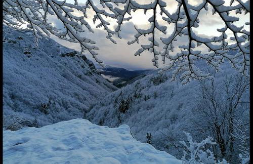 Appartamento La Foresta Abetone - Foto 37