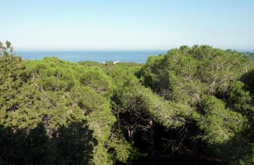 La bouganville Apartments - Foto 40