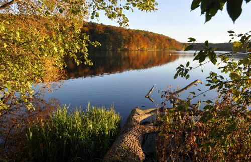 Kulturfreizeiten Ferienwohnungen - Photo 43