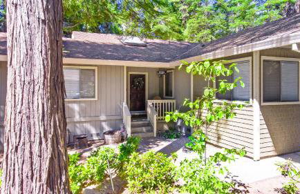 Home in the Pines - Apple Hill - Dog Friendly - Snow Nearby - Foto 31