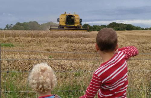 Bastle Retreats Farm Cottage - Foto 33