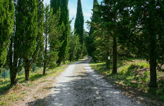A spasso tra gli ulivi - Foto 13
