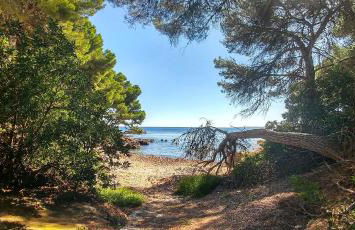 Villa Can Tomeu - Foto 32