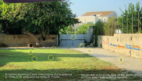 Casa Sicilia - Riviera Sicily Beach Guest House - Foto 5, Garden, Garden view