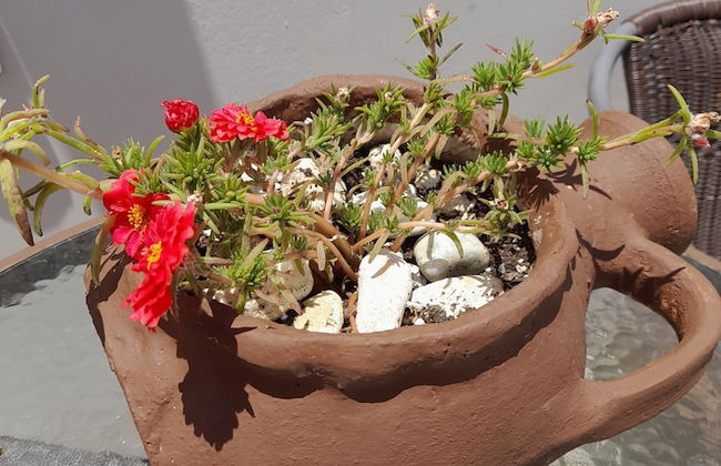 Villa Kastania - Foto 48