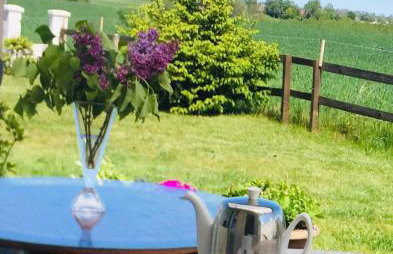 La Petite France - Foto 27