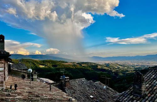 Il Giardino dell'Abate di Collepino - Spello - Foto 5
