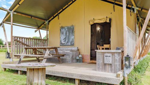 Muntjac - Uk47396 - Foto 3