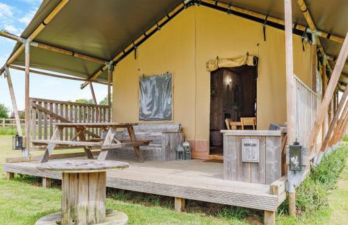 Muntjac - Uk47396 - Foto 3