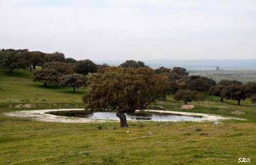 Apartamento Turístico La Ribera - Photo 48