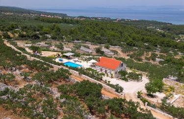 Villa Fani - Photo 7